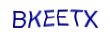 simple_captcha.jpg