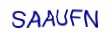 simple_captcha.jpg