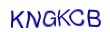 simple_captcha.jpg