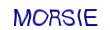 simple_captcha.jpg