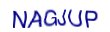 simple_captcha.jpg