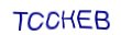 simple_captcha.jpg