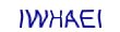 simple_captcha.jpg