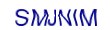 simple_captcha.jpg